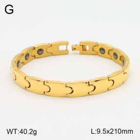2B2003588vhov-661  Stainless Steel Bracelet
