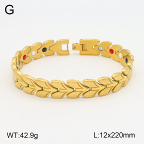 2B2003589ahpv-661  Stainless Steel Bracelet