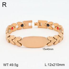 2B2003591ahpv-661  Stainless Steel Bracelet