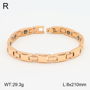 2B2003599ahpv-661  Stainless Steel Bracelet