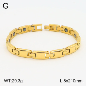 2B2003600ahpv-661  Stainless Steel Bracelet