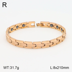 2B2003602vhov-661  Stainless Steel Bracelet