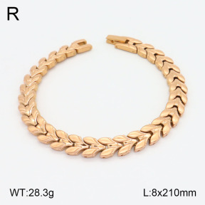2B2003603ahpv-661  Stainless Steel Bracelet