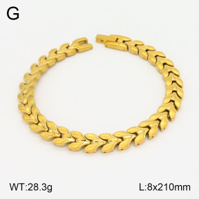 2B2003605ahpv-661  Stainless Steel Bracelet