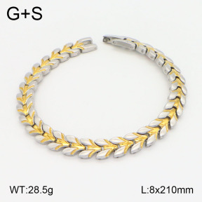 2B2003606ahpv-661  Stainless Steel Bracelet