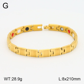 2B2003608ahpv-661  Stainless Steel Bracelet