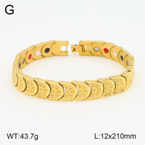 2B2003611aivb-661  Stainless Steel Bracelet