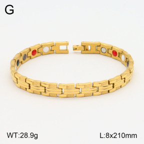 2B2003612vhov-661  Stainless Steel Bracelet