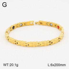 2B2003615vhov-661  Stainless Steel Bracelet