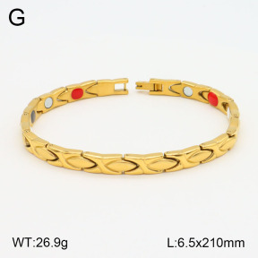2B2003618ahpv-661  Stainless Steel Bracelet