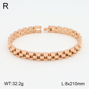 2B2003630ahjb-661  Stainless Steel Bracelet