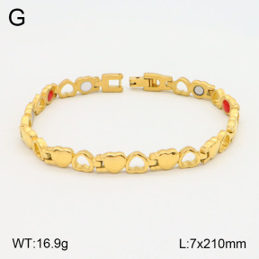 2B2003633vhov-661  Stainless Steel Bracelet