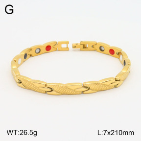 2B2003637vhov-661  Stainless Steel Bracelet