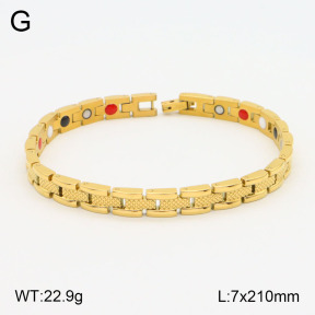 2B2003640vhov-661  Stainless Steel Bracelet