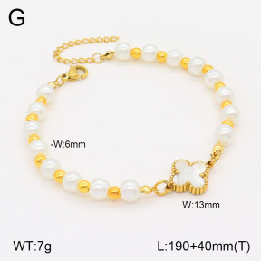 2B3003600vbnb-434  Stainless Steel Bracelet