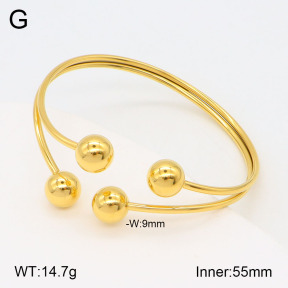 2BA201774bvpl-434  Stainless Steel Bangle