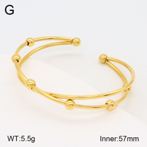 2BA201775vbpb-434  Stainless Steel Bangle