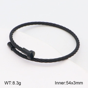 2BA201776vbnl-434  Stainless Steel Bangle