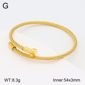 2BA201777vbnl-434  Stainless Steel Bangle