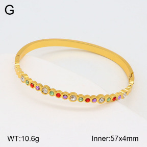 2BA402071bvpl-434  Stainless Steel Bangle