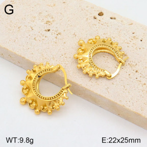 2E2005484bbov-749  Stainless Steel Earrings
