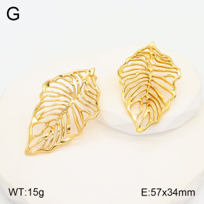 2E2005486vbll-434  Stainless Steel Earrings