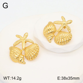 2E2005488vbmb-434  Stainless Steel Earrings
