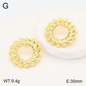 2E2005489baka-434  Stainless Steel Earrings