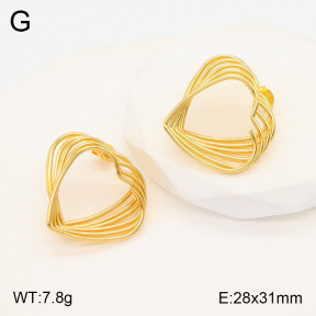 2E2005490vbll-434  Stainless Steel Earrings