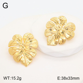2E2005491aakl-434  Stainless Steel Earrings
