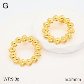 2E2005492baka-434  Stainless Steel Earrings