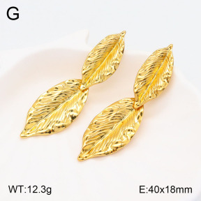 2E2005494vbmb-434  Stainless Steel Earrings
