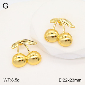 2E2005495vbmb-434  Stainless Steel Earrings