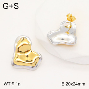 2E2005496bbml-434  Stainless Steel Earrings