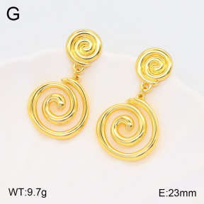 2E2005497vbll-434  Stainless Steel Earrings