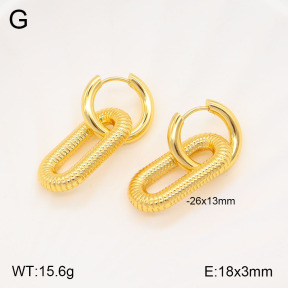 2E2005498vbnb-434  Stainless Steel Earrings