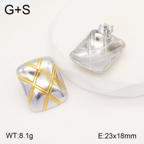 2E2005501vbmb-434  Stainless Steel Earrings