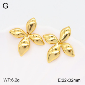 2E2005503vbll-434  Stainless Steel Earrings