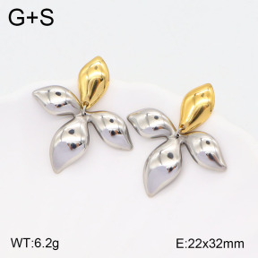 2E2005504vbll-434  Stainless Steel Earrings