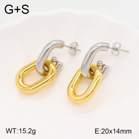 2E2005505vbmb-434  Stainless Steel Earrings