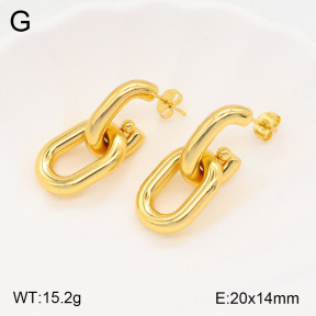 2E2005506vbll-434  Stainless Steel Earrings