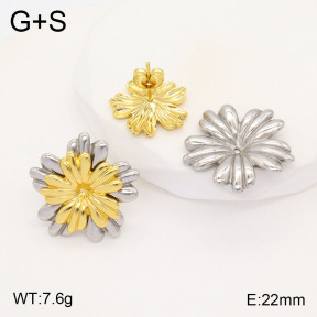 2E2005507vbll-434  Stainless Steel Earrings