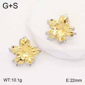 2E2005508bbml-434  Stainless Steel Earrings