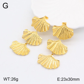 2E2005510bvpl-434  Stainless Steel Earrings