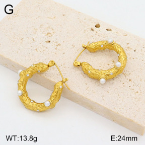 2E3003141vbpb-749  Stainless Steel Earrings
