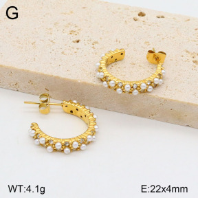 2E3003142bhva-749  Stainless Steel Earrings
