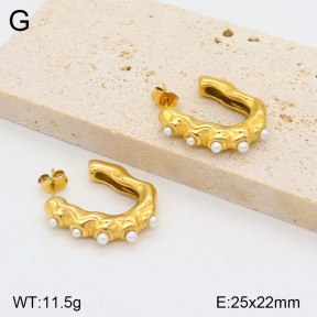 2E3003143bhva-749  Stainless Steel Earrings