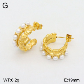 2E3003144bhva-749  Stainless Steel Earrings
