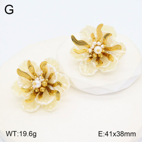 2E3003145vhll-434  Stainless Steel Earrings