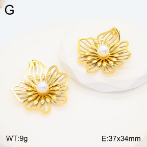 2E3003146vhha-434  Stainless Steel Earrings